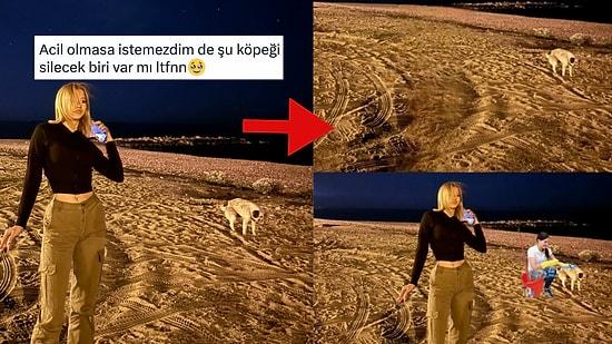 Pozuna Giren Köpeği Sildirmek İsteyen Kişiye Gelen Birbirinden Komik Photoshoplu Yanıtlar