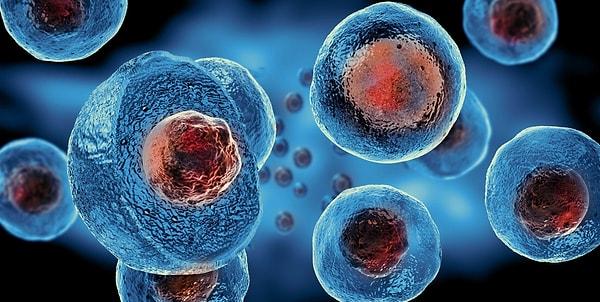 4. Hücrenin çekirdeği ile sitoplazmasına verilen isim nedir?