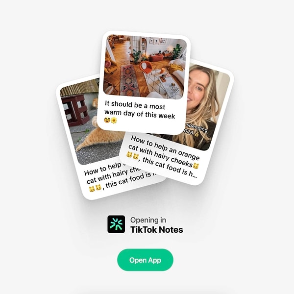 Notes.tiktok.com web sitesi şu anda yayında, fakat "Uygulamayı Aç" düğmesi henüz çalışmıyor.