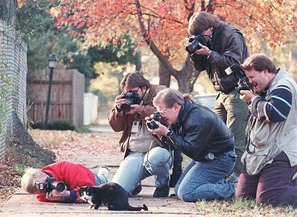 12. Eski Amerikan başkanı Bill Clinton'ın kedisi Socks'u çevreleyen paparazziler. (1992 civarı)