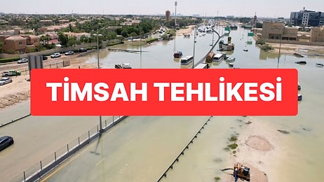 İran’da Sel Sonrası Timsah Tehlikesi: “Şehirlere İnebilirler”