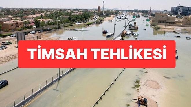 İran’da Sel Sonrası Timsah Tehlikesi: “Şehirlere İnebilirler”