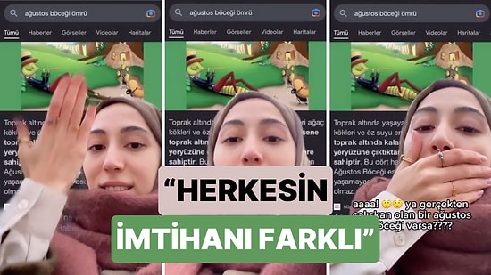 Ağustos Böceklerinin Ömrünün 4 Hafta Olduğunu Öğrenince Hem Karıncaya Hem La Fontaine'ne Bilenen Kadın
