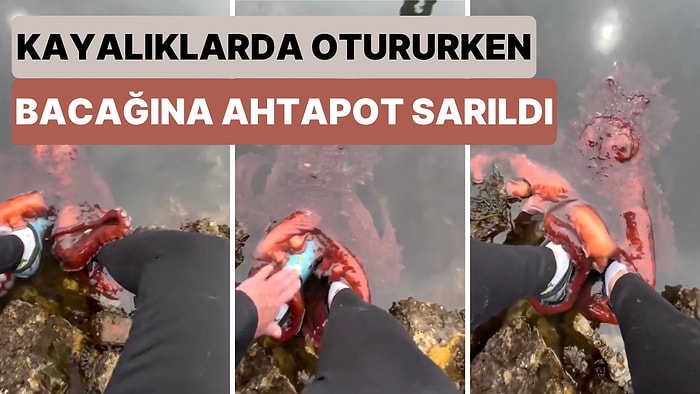 Yürek Yemiş: Kayalıklarda Oturan Adamın Bacaklarına Sarılan Ahtapotu İzlerken Siz Gerileceksiniz