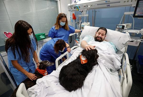 İspanya'daki Hospital del Mar hastanesi, hastalarının morallerini yükseltmek için terapi köpeklerinden yardım alıyor.