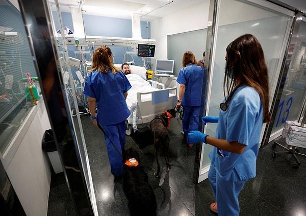 Programdaki hastalar, her hafta iki kere on beş ila yirmi dakika arası bir süre terapi köpekleriyle vakit geçiriyorlar.