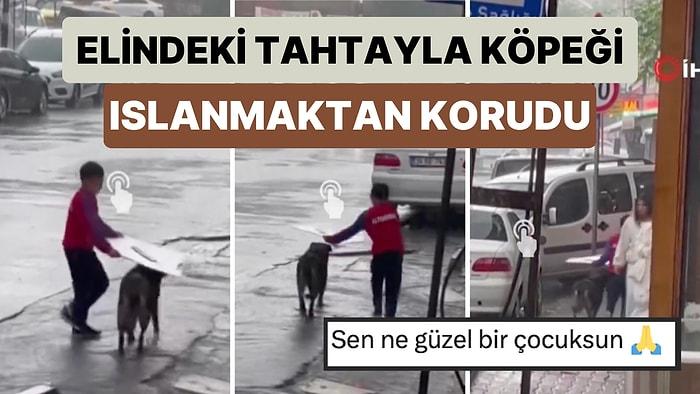 Esenyurt'ta Bir Çocuk Yağmurda Islanan Köpeğe Elindeki Tahta Parçasıyla Yol Boyunca Eşlik Etti