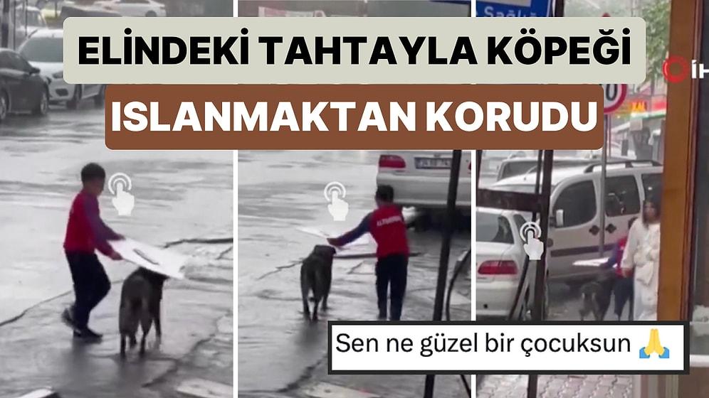 Esenyurt'ta Bir Çocuk Yağmurda Islanan Köpeğe Elindeki Tahta Parçasıyla Yol Boyunca Eşlik Etti