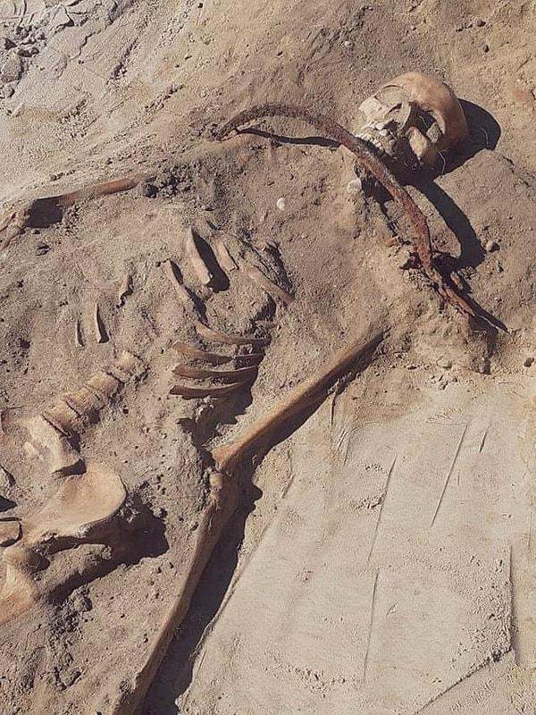 15. Polonya'nın Pien köyünde 17. yüzyıldan kalma bir mezarlıkta yapılan arkeolojik çalışmalar sırasında, ölümden dönmesini engellemek için boğazına orak geçirilerek yere yatırılmış bir kadın vampirin kalıntıları bulundu