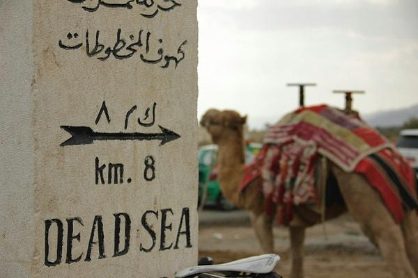 Ölü Deniz gezegenin en tuzlu su kütlelerinden biridir. Teknik olarak bir denizden ziyade karayla çevrili bir göl olan Ölü Deniz, Ürdün, İsrail ve Filistin arasında yer alır.