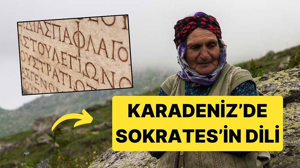 Karadeniz'de Yok Olmaya Direnen Kadim Bir Dil: Romeika