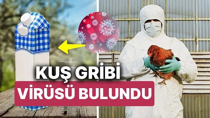 ABD Gıda ve İlaç İdaresi (FDA) Açıkladı: Pastörize Sütte Kuş Gribi Virüsü Bulundu