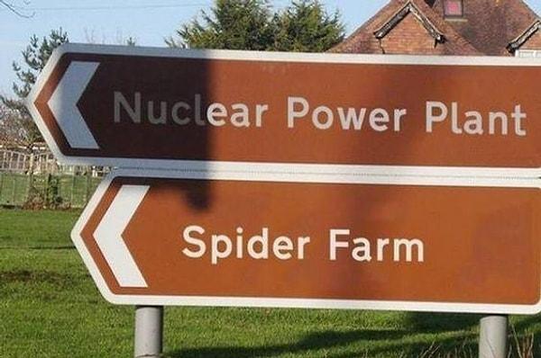 2. "Nükleer enerji santrali." "Örümcek çiftliği."