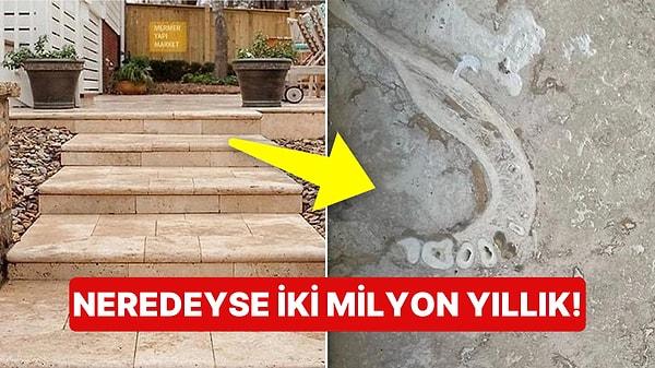 Evin Yer Döşemesinde Bulunan Çene, Türkiye'ye Aitmiş!