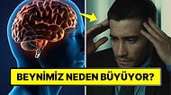 Bilimsel Araştırmaya Göre, Yıllar İçinde Beyin Fiziksel Olarak Büyüme Gösteriyor