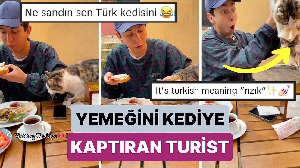 Turistler İstanbul'un Kedileri ile Tanışıyor: Bir Turist Kahvaltı Ederken Salamını Kediye Kaptırınca Şoke Oldu