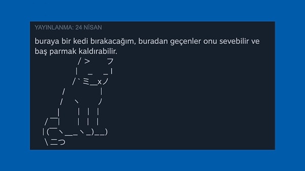 6. ✋🏻Kedi sevme noktası. Kediyi sevmeden geçemezsin.✋🏻