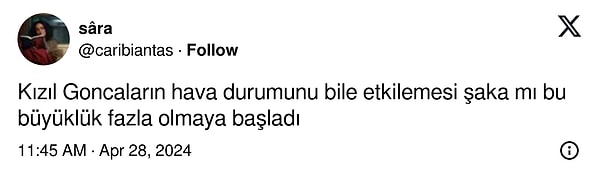 14. Haftaya görüşmek üzere, şimdilik hoşça kalın!