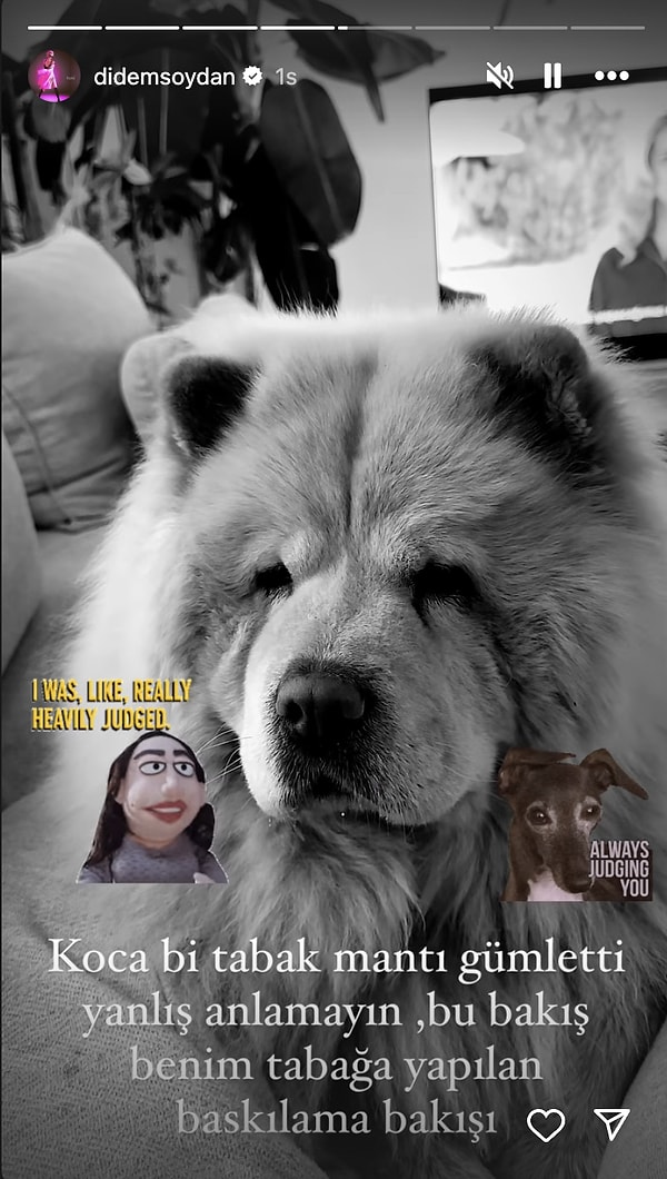 Didem Soydan, yaramaz köpeğinin komik hallerini anlattı.