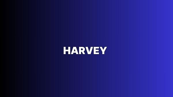 Harvey!