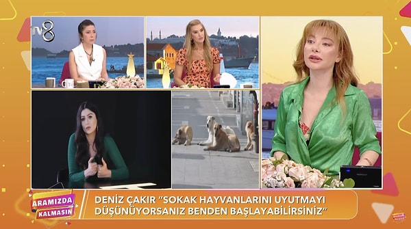 Konu üzerine konuşurken söze "Çok hassas bir konu bu" diyerek başlayan Şahin "Hayvanlara çocuklara zarar verdiğinde hepimiz çok üzülüyoruz. Yani günün sonunda hayvan bunlar yani" ifadelerini kullandı.