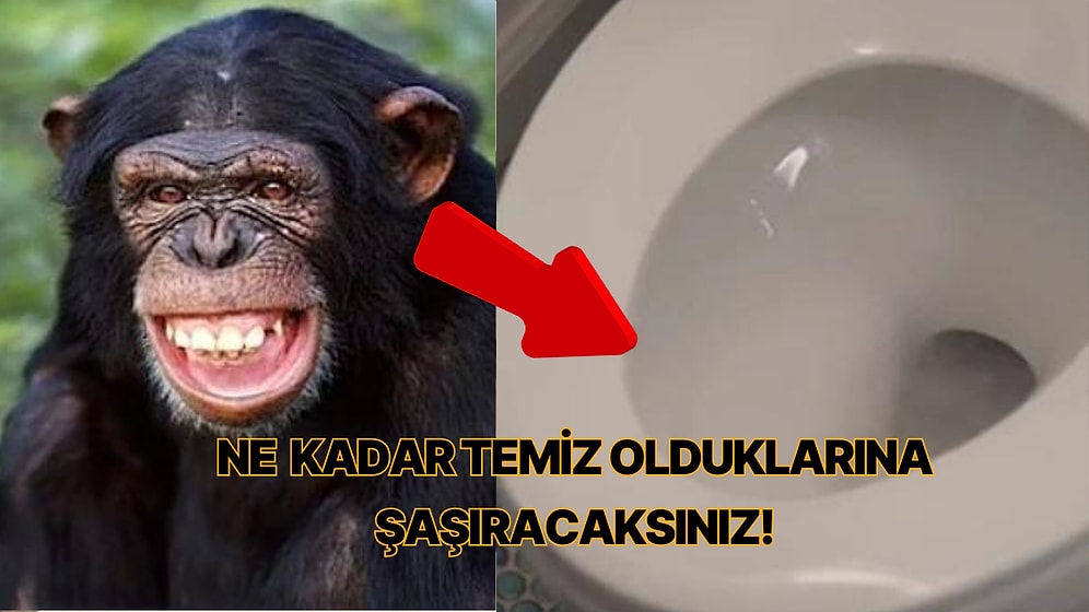 Sıra Dışı Hikayeleriyle Hepimizin Doğru Sandığı İlginç Bilgiler
