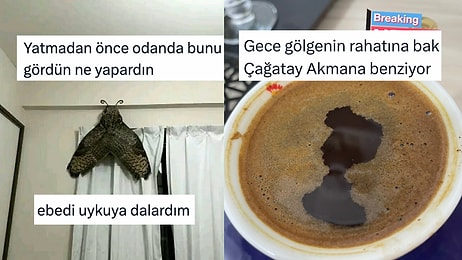 Küfürsüz de Komik Olunabileceğini Kanıtlayan Kadınlardan Haftanın En Çok Güldüren Tweetleri