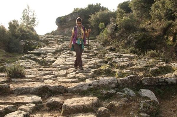Antik kentleri birbirine bağlayan, Aydın Beşparmak Dağları (Latmos) bölgesinde yer alan 2 bin 500 yıllık taş döşeme antik yola beton kaplama döküldü!