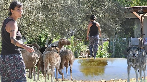 Yıllar sonra ortadan kaybolup Bodrum'da köye yerleşti. Kendini toprağa, çiftlik hayvanlarına ve doğaya verdi. Fakat onunla ilgili yeni öğrendiğimiz bir bilgi duyan birçok kişiyi şaşırttı.