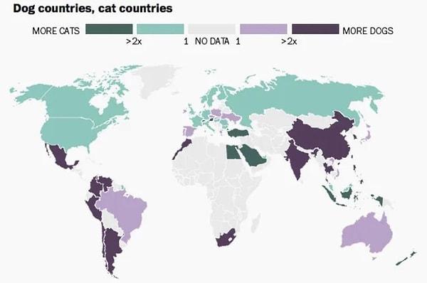 11. Ülkelerde daha çok kedi mi var yoksa köpek mi?