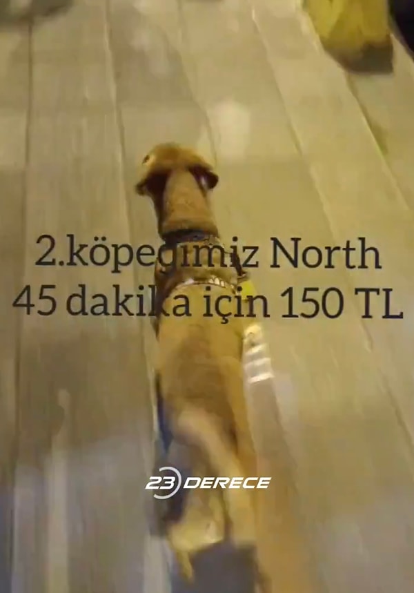 İlk köpek için 30 dakikadan 120 TL, ikinci köpek için 45 dakikadan 150 TL, son köpek içinse 60 dakikadan 200 TL almıştı.