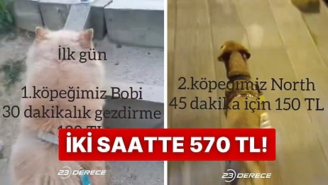 Ücretli Köpek Gezdiren Genç 2 Saatte 570 TL Kazandığını Anlatınca Viral Oldu