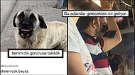 Bembeyaz Dişleriyle Etkileyen Köpekten Gelecekten Gelen Adamlara Son 24 Saatin Viral Tweetleri