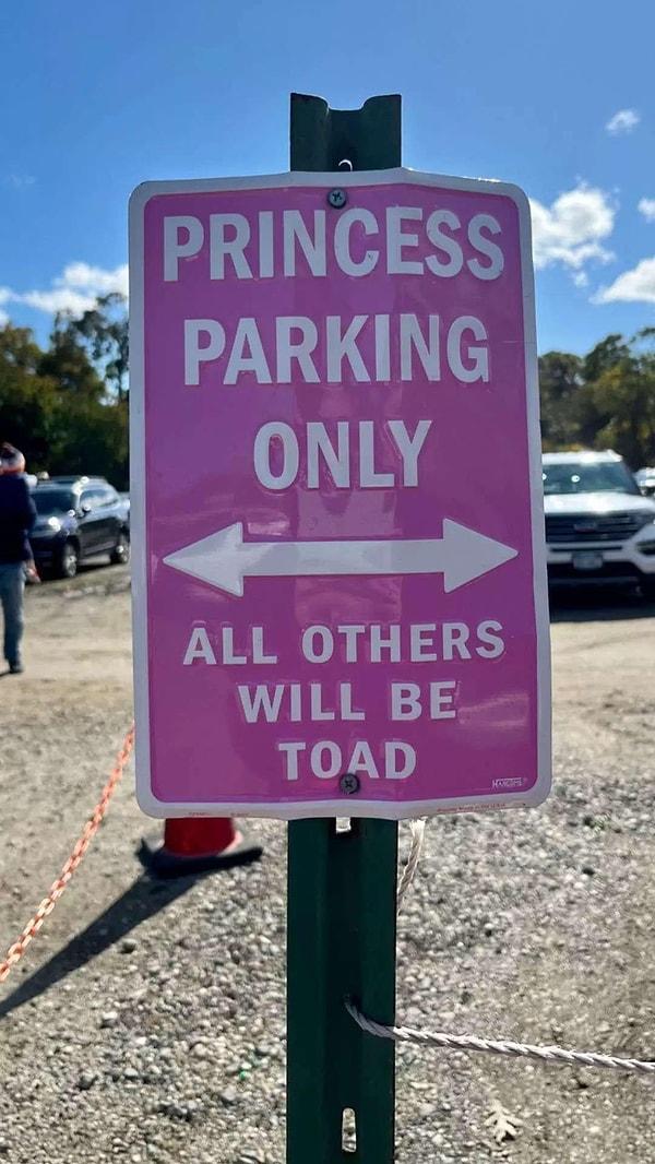 4. "Sadece prensesler park edebilir. Geriye kalan herkesin arabası çekilecek."