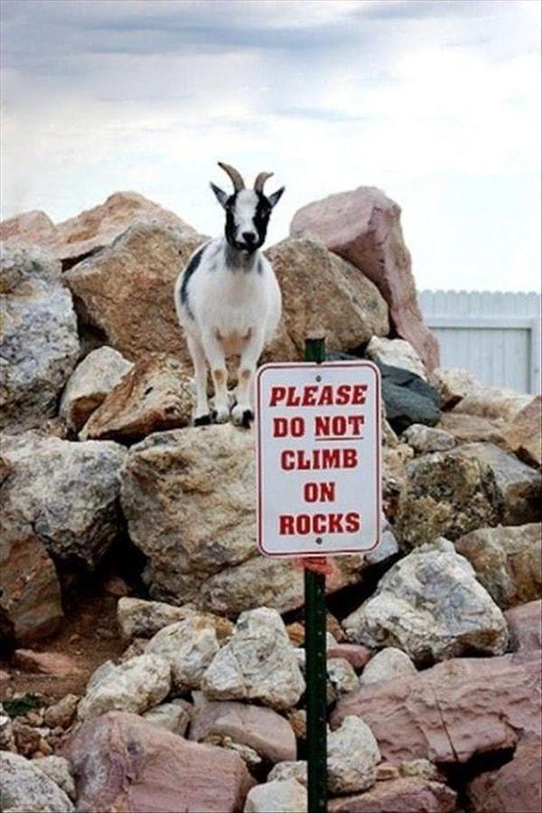 7. "Lütfen kayalara tırmanmayın."