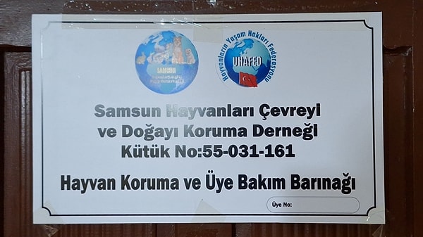 Şüphelilerden Y.T, (47) D.T. (42) ve A.Y’ye (38) kumar oynanması için yer ve imkan sağlamaktan, diğer 26'sına ise kumar oynamaktan işlem yapılacağı öğrenildi.