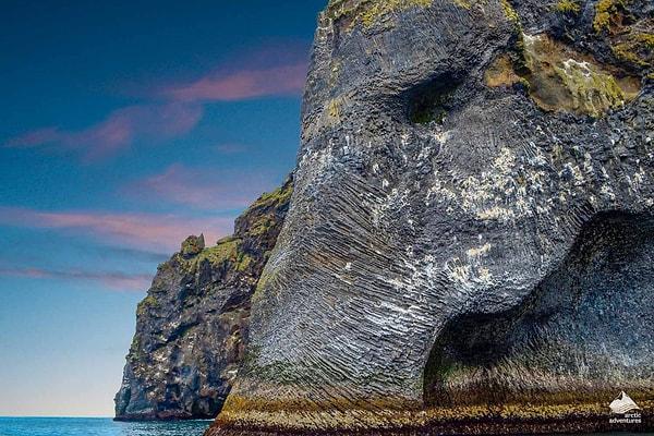 8. Fil Kayası - İzlanda