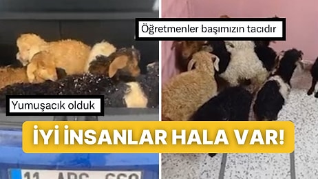 Hakkari’de Etkili Olan Yoğun Kar Yağışında Mahsur Kalan Kuzuları Kurtaran Öğretmenler Gönülleri Fethetti