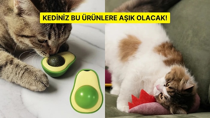 Kedisi Olanların Mutlaka Göz Atması Gereken En Sevilen Kedi Ürünleri