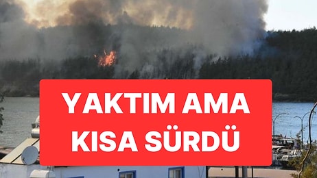 Telefonundan Orman Yangınının Görüntüleri Çıkmıştı: Tutuklu Sanığa 2 Kez Ağırlaştırılmış Müebbet Hapis Cezası