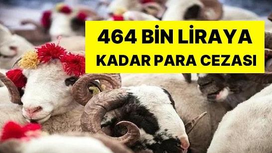 Kurban Keseceklere Kötü Haber: 464 Bin Liraya Kadar Para Cezası