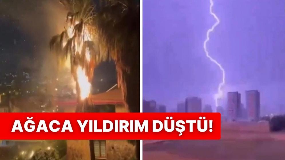 Adana’da Etkili Olan Sağanak Yağışlar Esnasında Ağaca Yıldırım Düşmesiyle Kısa Sürede Alev Aldı
