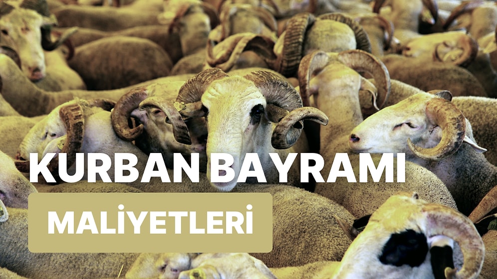 Kurban Bayramı'nda Kurban Kesmek ve Bayram Alışverişi Ne Kadar? Tüm Detaylarıyla Kurban Bayramı Maliyeti