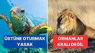 Ortamlarda Havanıza Hava Katacak Enterasan Bilgileri Duymaya Hazır mısınız?