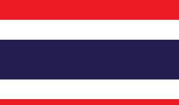 3. Bu bayrağın sahibi olan ülke Asya'da yer alıyor. Bunu bilebilecek misin?