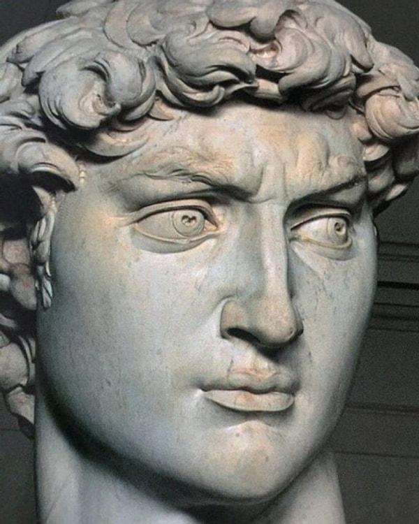 1. Michelangelo'nun Davut heykelinin göz bebekleri kalp şeklindedir. Heykellerin gözbebeklerinde genellikle derinlik katan ya da ışığın yansımasını simgeleyen bir yarık bulunur. Ancak Davut'un gözleri belirgin bir şekilde kalp şeklinde gözbebeklerine sahiptir.
