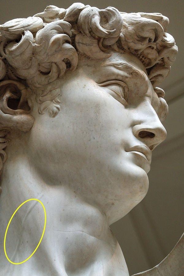 7. Tıp biliminin dolaşım sistemini tanımlamasından 100 yılı aşkın bir süre önce Michelangelo, Davut heykelinde şah damarını mükemmel bir şekilde yontmuştur.