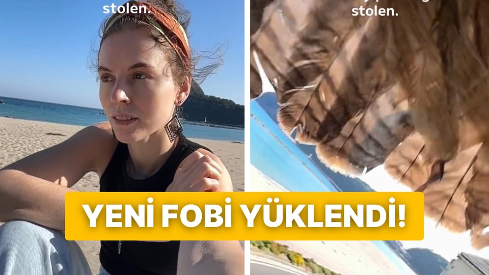 Artık Selfie Çekmeden Önce İki Kere Düşünün! Sahilde Oturan Kadının Telefonunu Gaspeden Yırtıcı Kuş