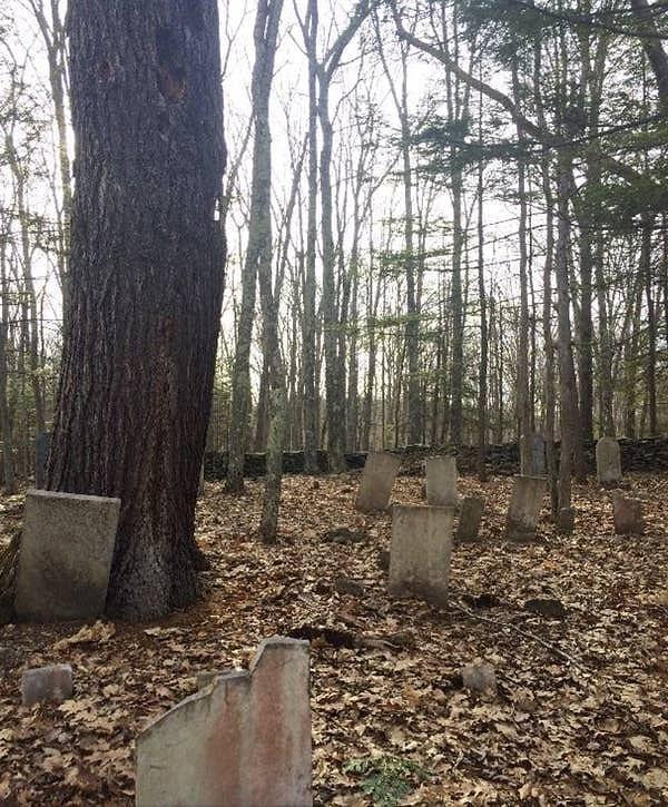 14. Bu kişi, yeni evlerinin arkasındaki ormanda tesadüfen eski bir mezarlık keşfetmiş: