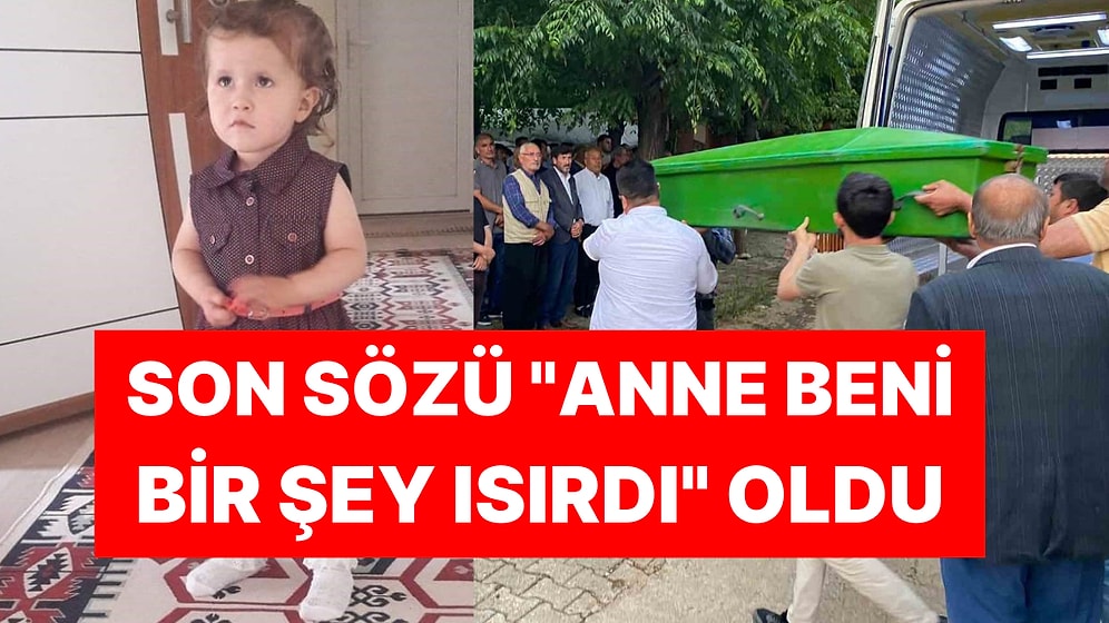 5 Yaşındaki Çocuk Şüpheli Şekilde Hayatını Kaybetti: Son Sözü "Anne Beni Bir Şey Isırdı" Oldu